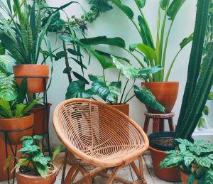 Wooden chair on a wooden balcony floor surrounded by ceramic and terracotta pots with green plants growing